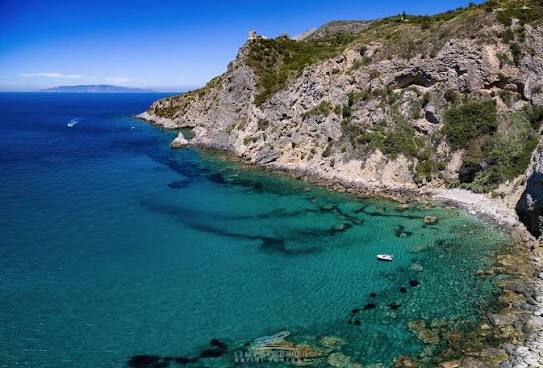 Cala dell'Olio